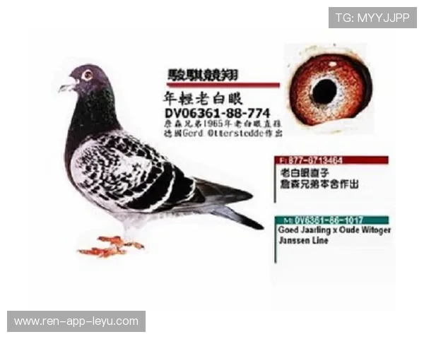 德国后防新哲学：压迫后回撤的优势何在？